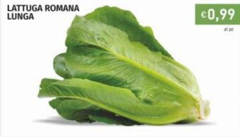 Prezzemolo e Vitale Lattuga Romana Lunga offerta