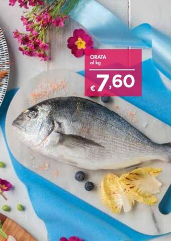 Bennet Orata offerta