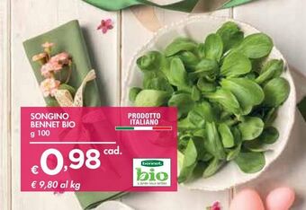 Bennet Songino bennet bio offerta