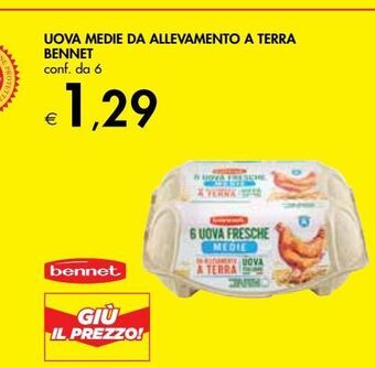 Bennet Uova medie da allevamento a terra bennet offerta
