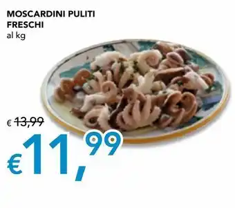 Moscardini puliti freschi