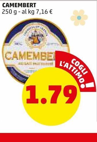 PENNY Camembert 250 g offerta