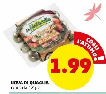 PENNY Uova di quaglia conf 12 pz offerta