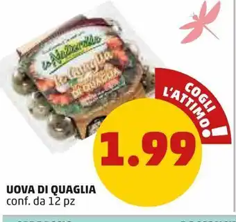 PENNY Uova di quaglia offerta