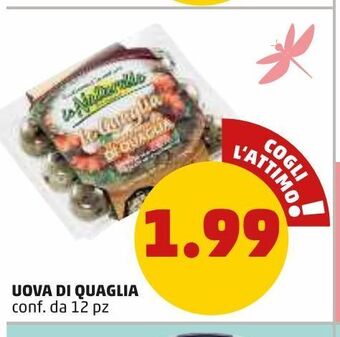 PENNY Uova di quaglia offerta
