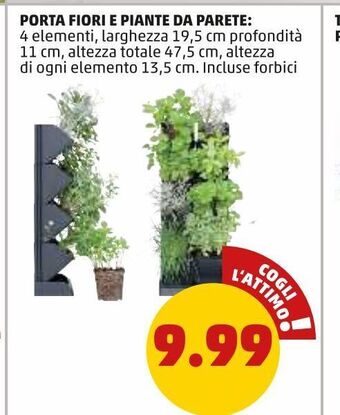 PENNY Porta fiori e piante da parete offerta