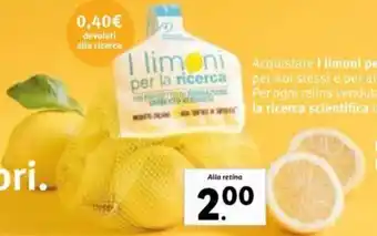 Lidl I limoni per la ricerca offerta