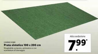 Lidl Livarno Home Prato sintetico 100 x 200 cm offerta