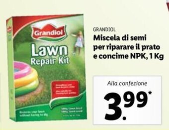 Lidl Grandiol Miscela di semi per riparare il prato e concime NPK, 1 kg offerta