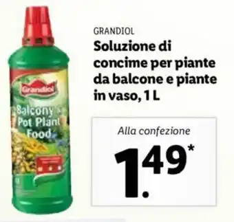 Lidl Grandiol Soluzione di concime per piante da balcone e piante in vaso, 1 L offerta