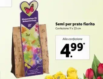 Lidl Semi per prato fiorito 11 x 23 cm offerta