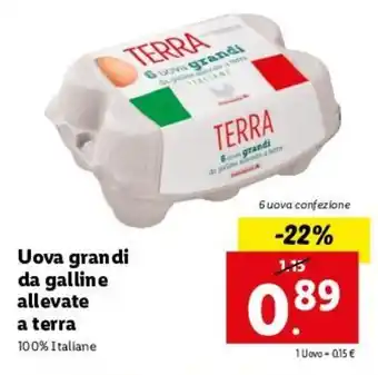 Lidl Uova Grandi Da Galline A Terra offerta