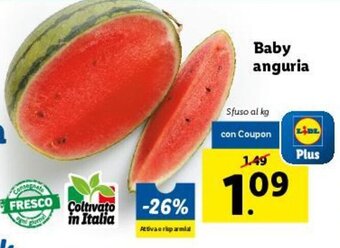 Lidl Baby Anguria offerta