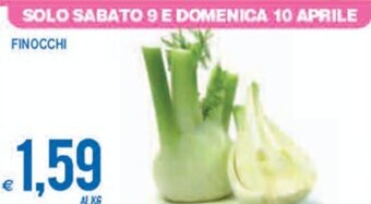 Finocchi