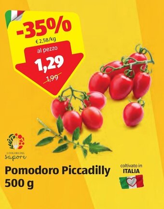 ALDI Pomodoro Piccadilly 500 g offerta
