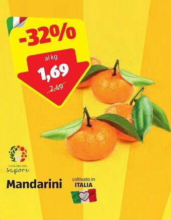 ALDI Mandarini offerta