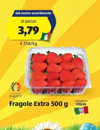 ALDI Fragole Extra 500 g offerta