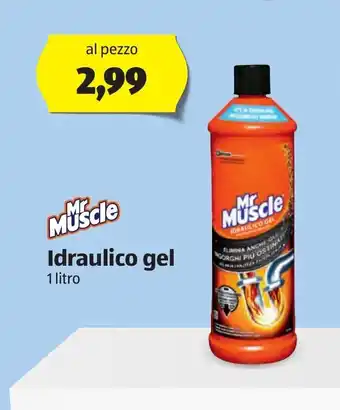 Mr Muscle Idraulico gel 1 litro