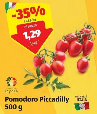 ALDI Pomodoro piccadilly offerta