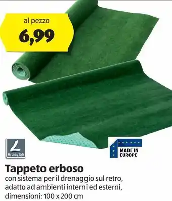 ALDI Tappeto erboso offerta