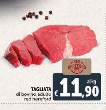 Deco Maxistore Tagliata di bovino adulto offerta