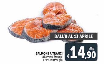 Deco Maxistore Salmone a tranci offerta