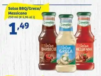 In'S Mercato Develey Salsa BBQ/Greca/Messicana 250 ml offerta