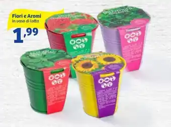 In'S Mercato Fiori a Aromi offerta