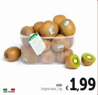 Spazio Conad Kiwi 1 kg offerta