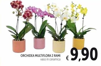 Spazio Conad Orchidea Multiflora 2 Rami offerta