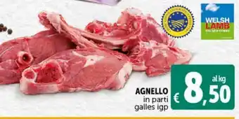 Deco Market Agnello in parti galles igp offerta