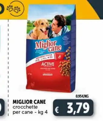 Crocchette miglior cane
