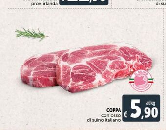 Deco Superstore Coppa con osso di suino italiano offerta