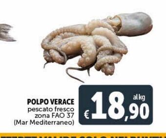 Deco Superstore Polpo verace pescato fresco zona fao 37 offerta