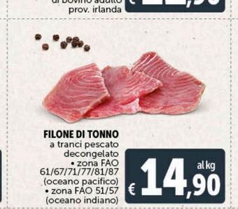 Deco Superstore Filone di tonno a tranci pescato decongelato offerta