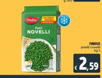 Deco Superstore Piselli findus offerta