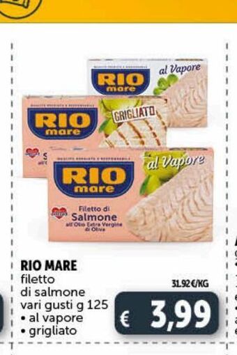 Deco Superstore Filetto di salmone rio mare offerta