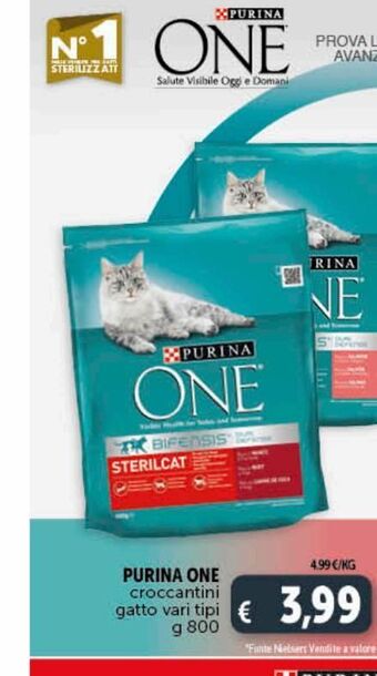 Deco Superstore Croccantini per gatti purina one offerta