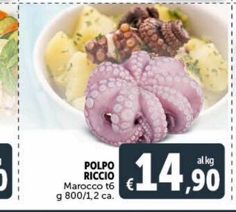 Polpo riccio