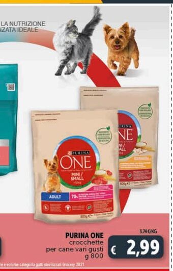 Deco Superstore Crocchette per cani purina one offerta