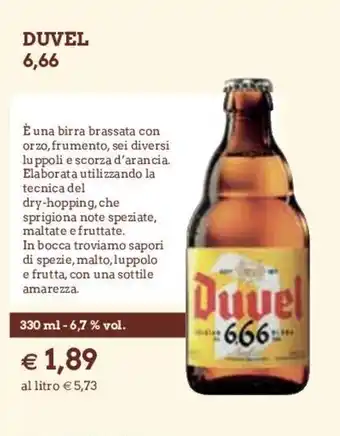 Duvel 6,66 330ml