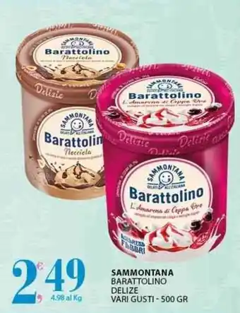 Sisa Sammontana Barattolino Delize vari gusti - 500 gr offerta