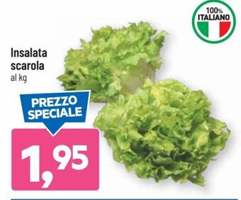 DPiù Insalata scarola offerta