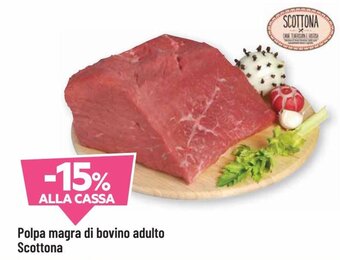 DPiù Polpa Magra di bovino Adulto scottona offerta