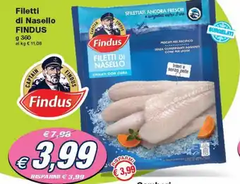Findus Filetti Di Nasello 360 g