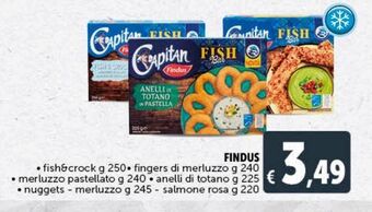 Deco Maxistore Findus offerta