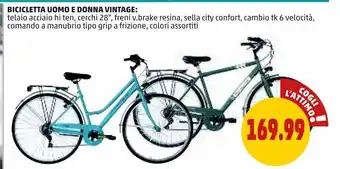 PENNY Bicicletta uomo e donna vintage offerta