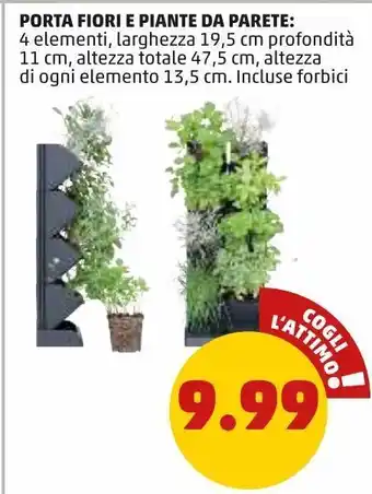 PENNY Porta fiori e piante da parete offerta