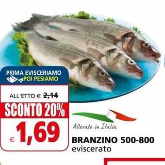 Il Gigante Branzino offerta