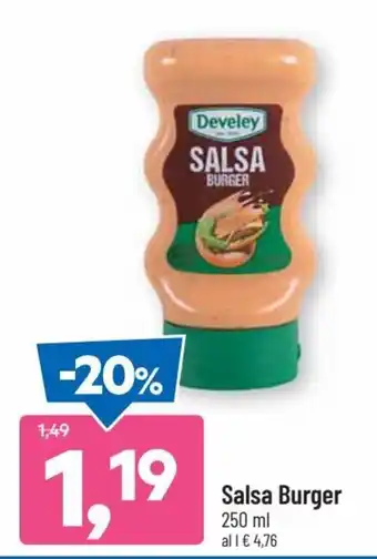 DPiù Develey Salsa Burger 250 ml offerta